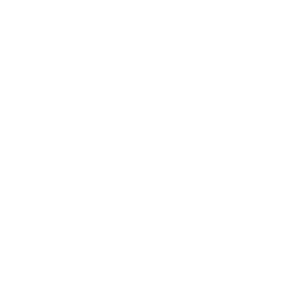 erzeni